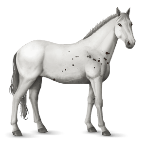 ridehest tennessee walker gråskimmel