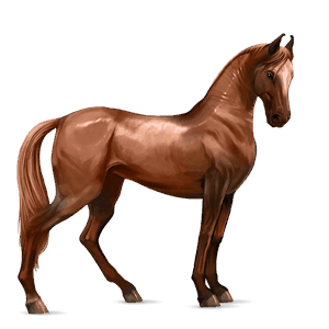 ridehest holstener rød