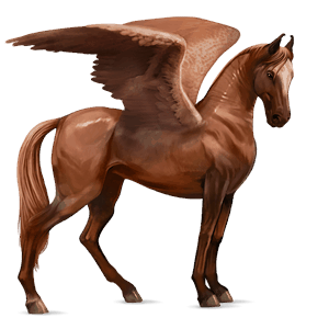 ridepegasus marwari rød
