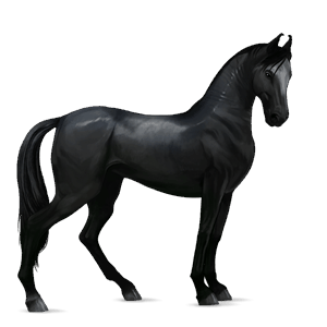ridehest tennessee walker leverrød