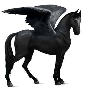 ridepegasus hannoveraner sort