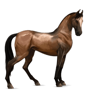 ridehest holstener brun