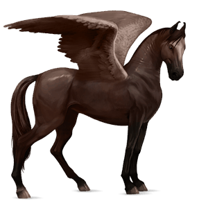 ridepegasus marwari leverrød