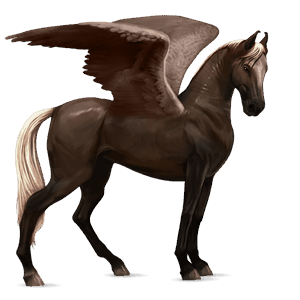 ridepegasus mørkebrun