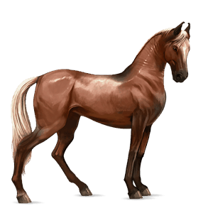 ridehest tennessee walker rød