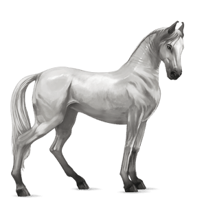 ridehest tennessee walker lysegrå