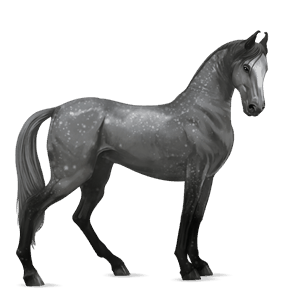ridehest tennessee walker gråskimmel