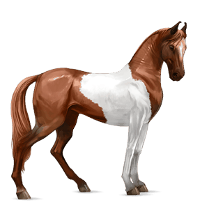 ridehest tennessee walker sort