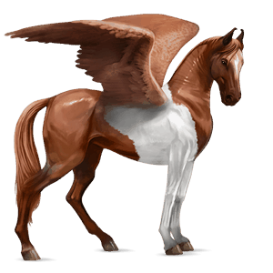 ridepegasus rød tobiano
