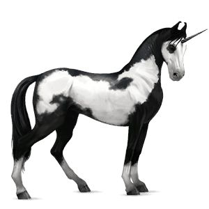 rideenhjørning paint horse leverrød tobiano