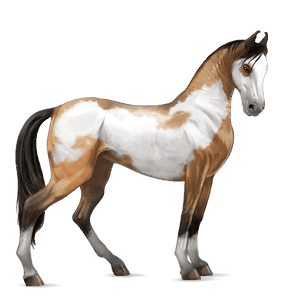 ridehest mørkebrun