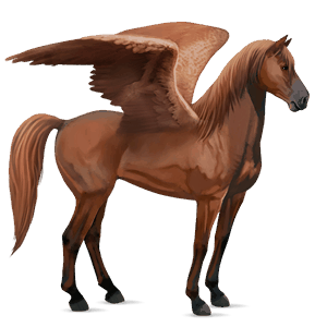 ridepegasus mustang rød