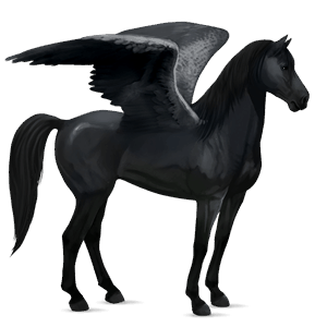ridepegasus mustang brun