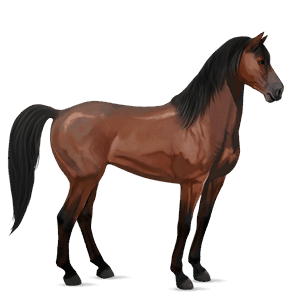 ridehest frieser sort