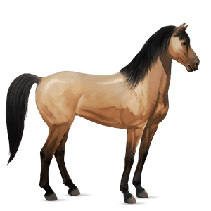 ridehest frieser sort