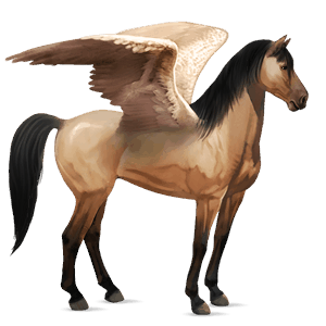 ridepegasus mustang blakket
