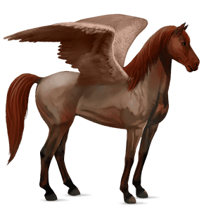 ridepegasus tennessee walker leverrød