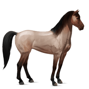 ridehest mustang skimmel