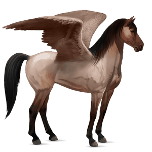 ridepegasus mustang skimmel