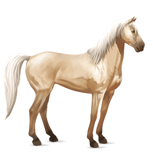 ridehest kirsebærbrun