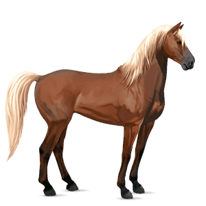 ridehest tennessee walker brun