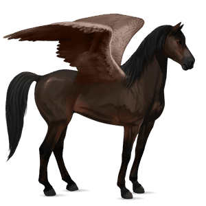 ridepegasus mustang mørkebrun