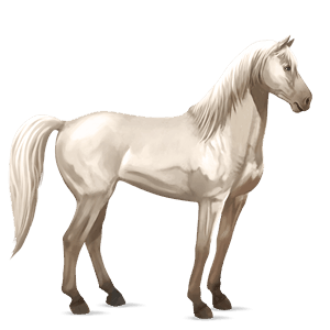 ridehest mustang skimmel