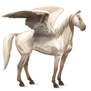 ridepegasus mustang mørkebrun