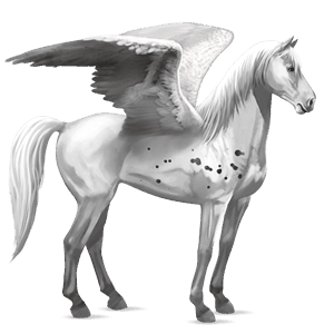 ridepegasus mustang småplettet