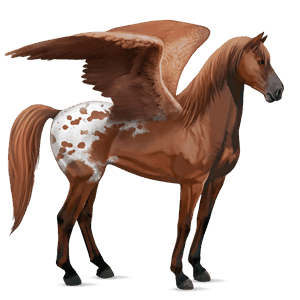 ridepegasus mustang gråskimmel