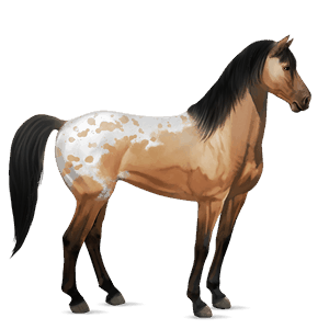 ridehest mustang isabellafarvet plettet blanket