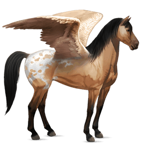 ridepegasus quarter horse cremello