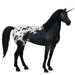 rideenhjørning paint horse sortbroget tobiano