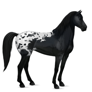 ridehest sort