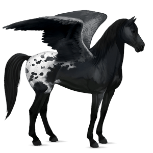 ridepegasus hannoveraner leverrød