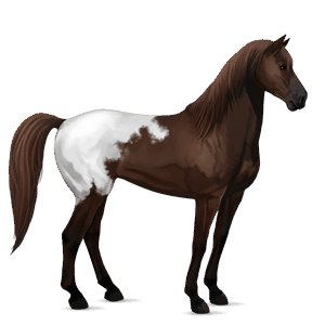 ridehest curly rød