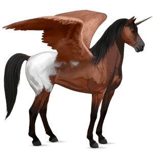 bevinget rideenhjørning mustang kirsebærbrun blanket