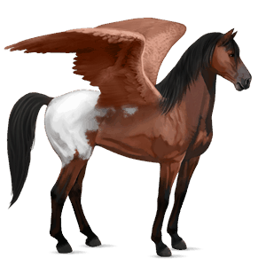ridepegasus paint horse brun tobiano