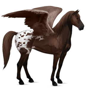 ridepegasus islænder kirsebærbrun