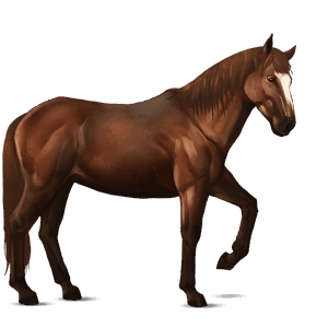 ridehest frieser sort