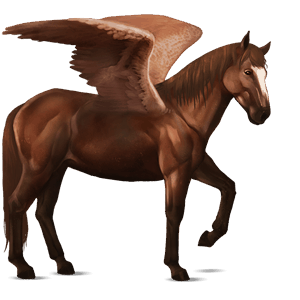 ridepegasus tennessee walker kirsebærbrun