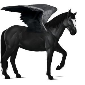 ridepegasus islænder gråskimmel