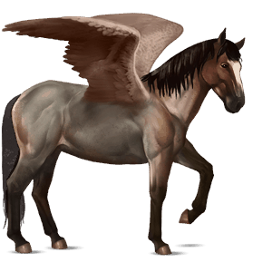 ridepegasus nokota mørkebrun overo