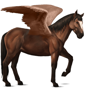 ridepegasus mørkebrun