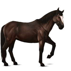 ridehest quarter horse skimmel