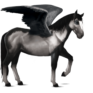 ridepegasus paint horse rødbroget overo