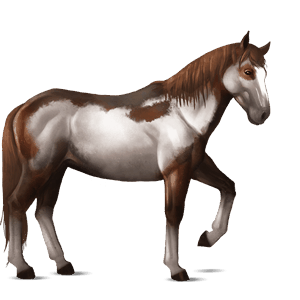 ridehest tennessee walker palomino