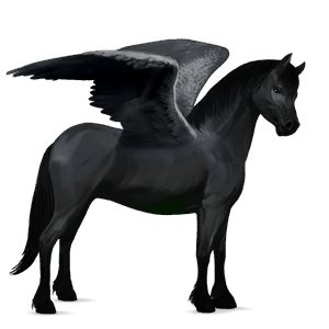 pegasuspony connemara sort