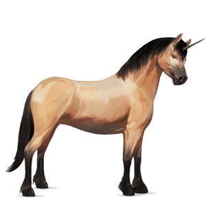 enhjørningepony connemara blakket