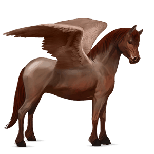 pegasuspony welsh rød stikkelhåret